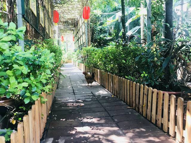 槟榔河文化旅游区