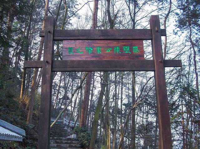 南华山国家森林公园