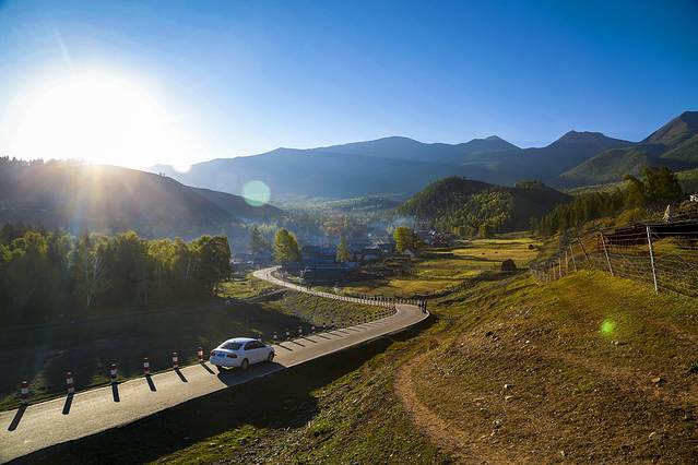 白哈巴森林公园