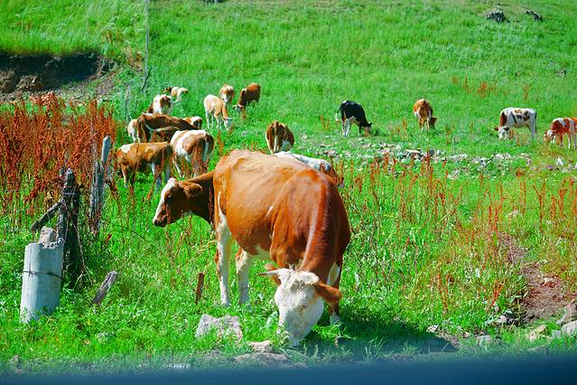 乌兰浩特义勒力特机场