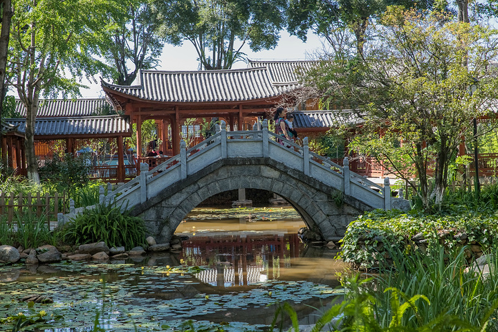 "石板斑驳了，水依然非常的清冽，形成了“家家门前绕水流，户户屋后垂杨柳”的诗画图_大理古城"的评论图片