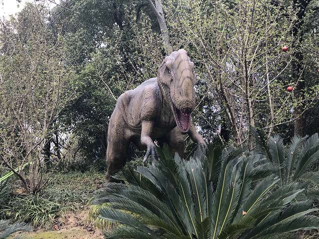 顾村公园自然谷恐龙乐园