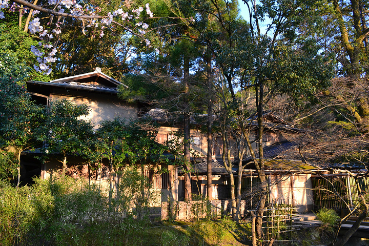 "银阁寺本名慈照寺，与金阁寺一样，同为临济宗相国寺派寺院，也是室町时代所建。银阁寺门票_银阁寺"的评论图片