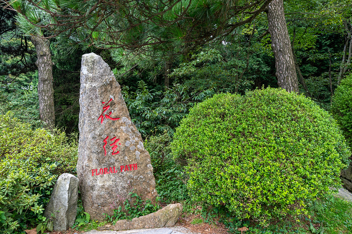 "...，一定要记住，如果你到了这里，一定要脱口而出“白司马花径”，一定要偷偷看攻略，然后直接惊艳全场_庐山花径"的评论图片