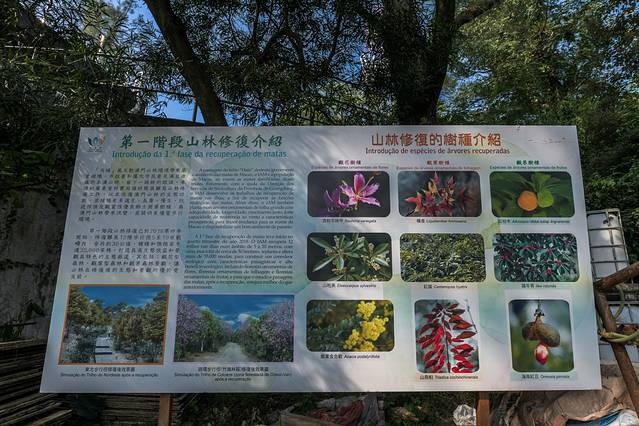 大潭山郊野公园