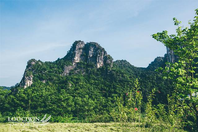 白头叶猴生态旅游区