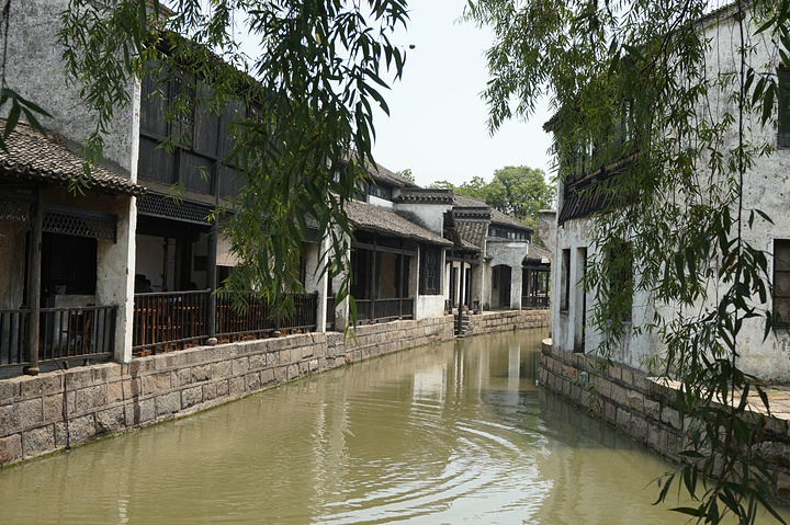 横泾老街有着一小段河流河面非常平静河流两侧都是民屋表现出江南水乡