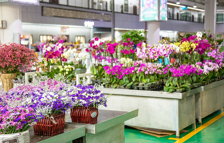 "我总会想，如果重庆也有这么便宜的花，那么我们生活的幸福指数应该能提升不少吧_斗南花市"的评论图片
