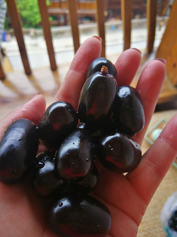 这是在西江西门往里走的时候,有卖的一种果子,类似金手指葡萄的味道