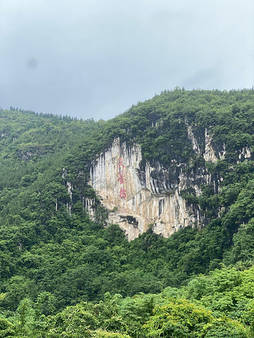 "阴雨天气的大瀑布景区真的宛如人间仙境，虽然全身都是水汽，但眼睛得到了满足_黄果树瀑布"的评论图片