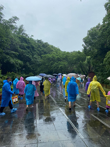 "阴雨天气的大瀑布景区真的宛如人间仙境，虽然全身都是水汽，但眼睛得到了满足_黄果树瀑布"的评论图片