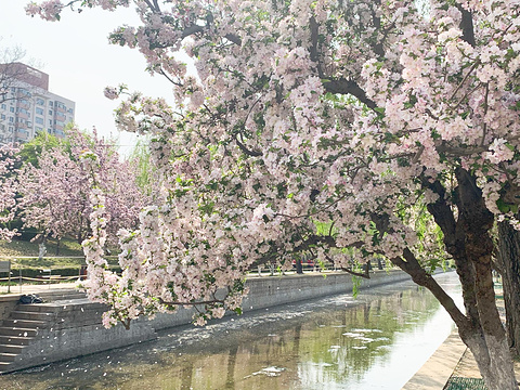 海棠花溪旅游景点图片