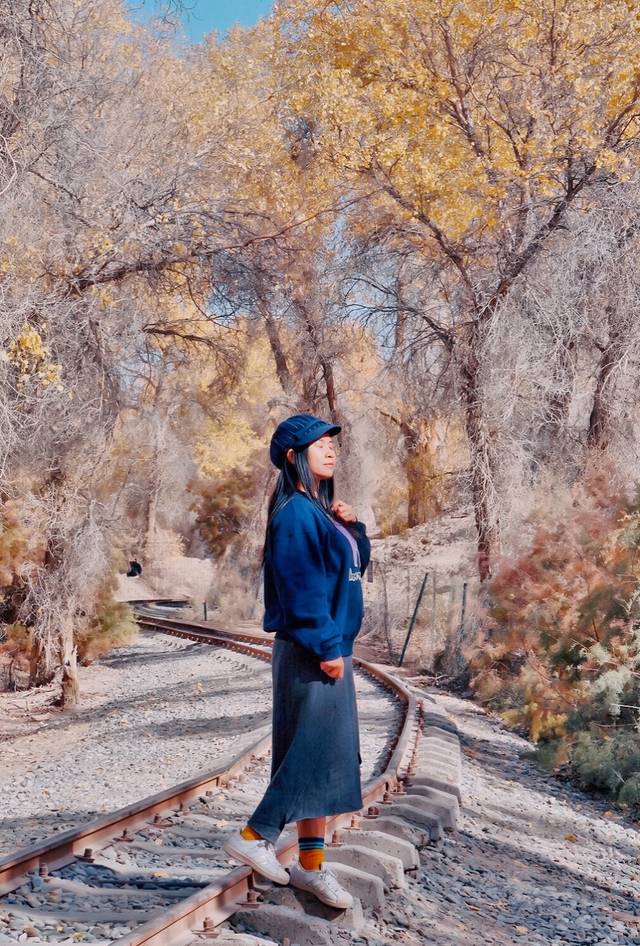 塔里木胡杨林公园