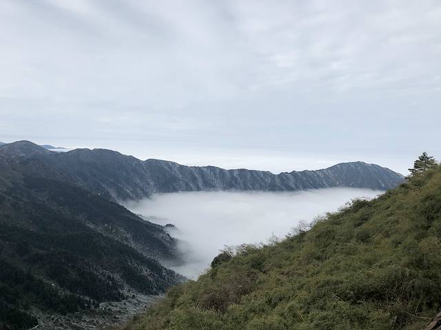 南岳衡山、长沙两日游南岳大庙烧香拜佛祈福讲