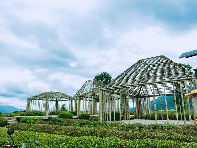 大木山茶园景区