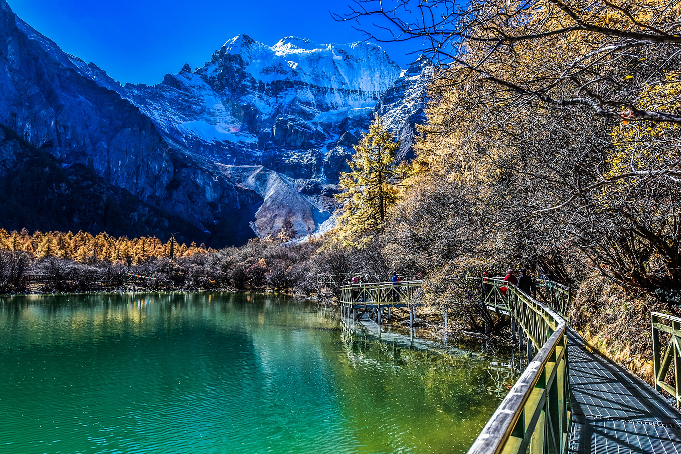 稻城亚丁蓝色星球上的净土人间最后的香格里拉