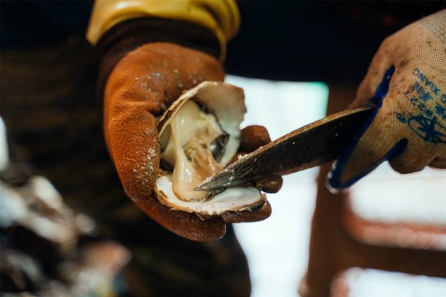 爱妻牛排火锅(银杏店)