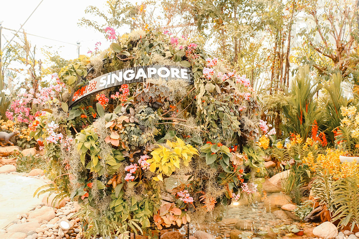 "♥游玩推荐从日本园出来没多远就是新加坡园，新加坡素有花园城市的美称，而兰花也是他们最有名的国花_北京世园公园"的评论图片