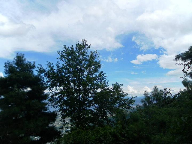 "一般游览苍山，可选择从中和索道或感通索道上到半山腰，沿玉带云游路步行欣赏沿途美景，到七龙女池中..._苍山"的评论图片