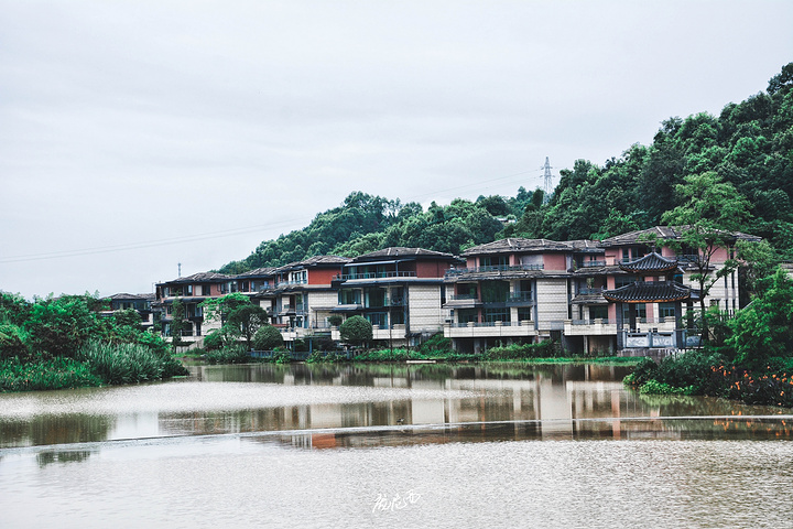 "特别是这次入住的泸县天展温泉度假酒店，不仅有着纯天然的温泉，而且居然就紧挨着泸县宋代石刻博物馆..._泸县天展温泉度假酒店"的评论图片