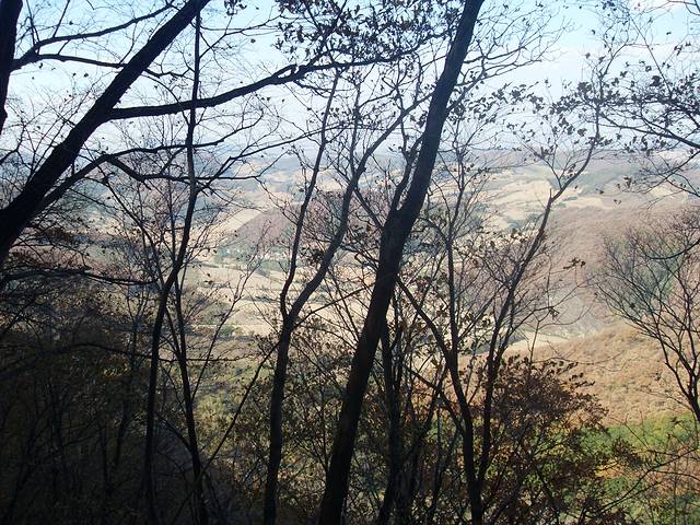 国家吊水壶森林公园