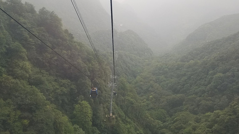 金佛山旅游景点攻略图