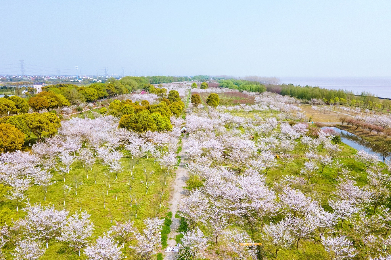 春日游赏钱塘湖,观赏自然美景 (钱塘游春湖这首古诗)