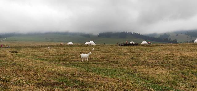 那拉提空中草原