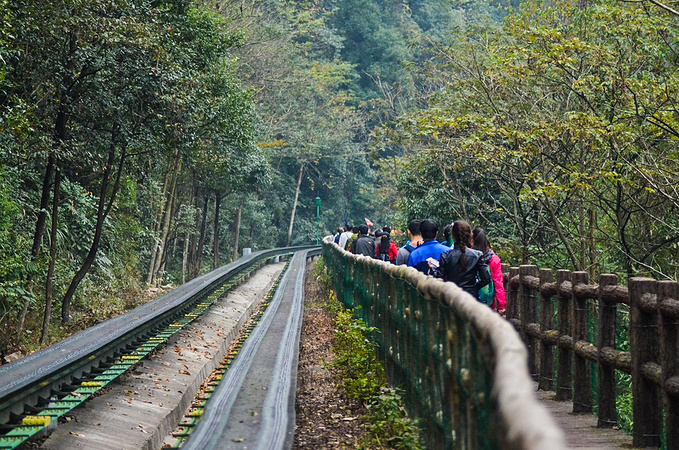 天子山风景区图片