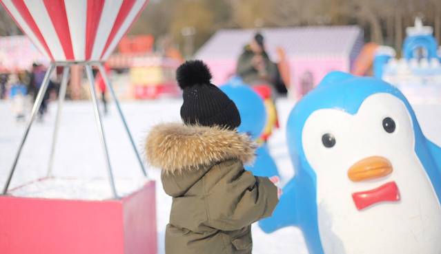 陶然亭公园冰场