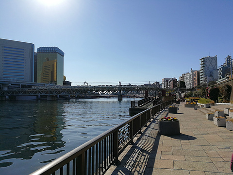 隅田川旅游景点图片