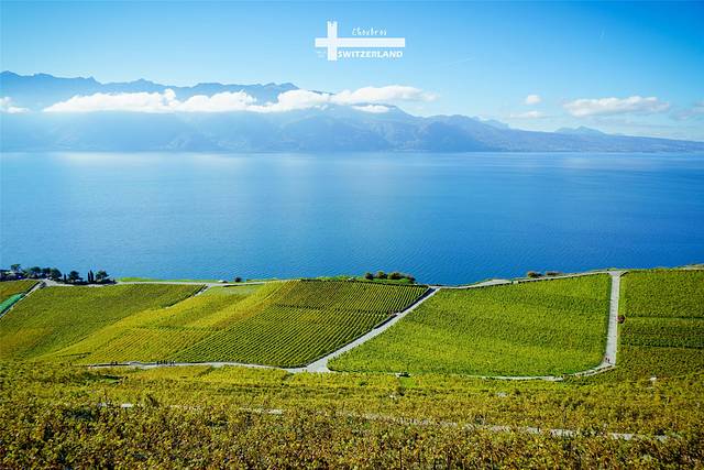 拉沃葡萄酒博物馆