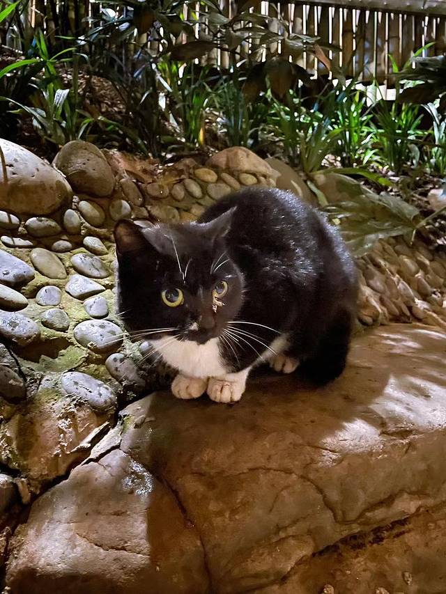 峨眉山瑜伽温泉