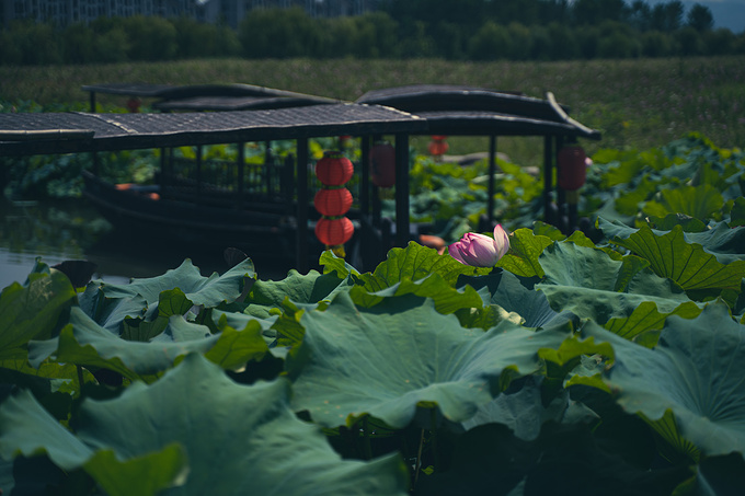 湘湖图片