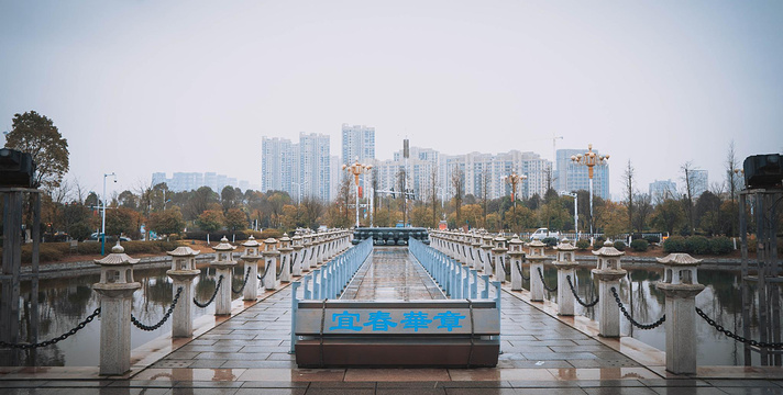 宜春市博物馆旅游景点图片