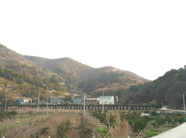 普陀区蚂蚁岛旅游区