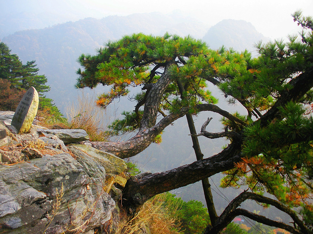 "庐山攻略|龙首崖_龙首崖"的评论图片