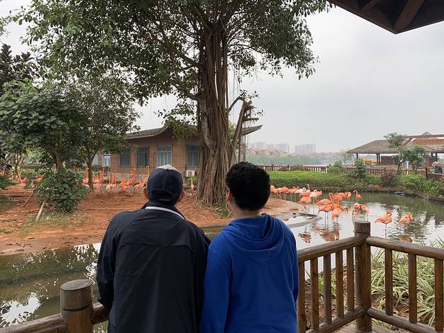 富力红树湾湿地公园