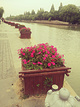 京杭大运河(扬州段)