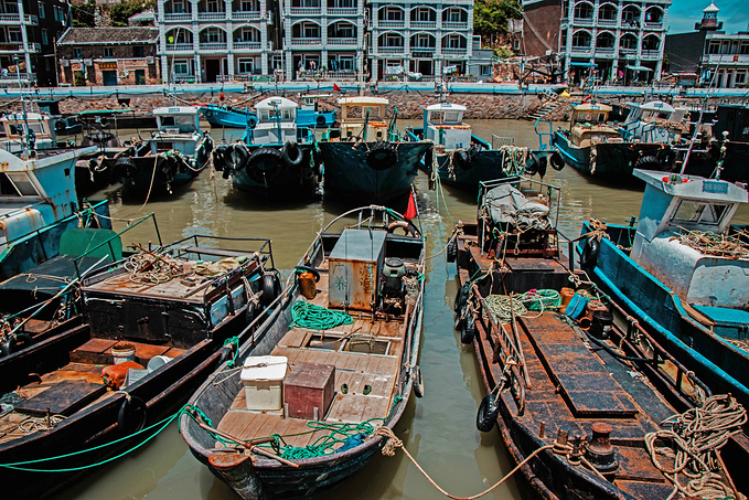 大陈岛采风日记
