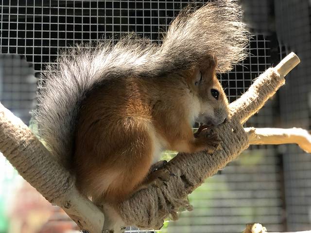 萌乐游亲子互动馆