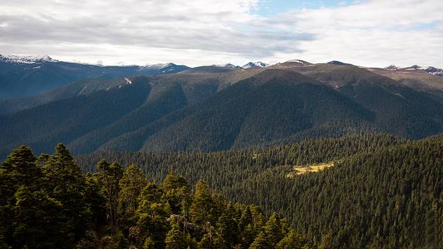 鲁朗国际旅游小镇