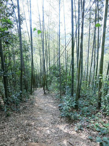 "高椅岭是一个绝对值得一去再去的好地方，经典的丹霞地貌，山水犬牙交错，奇形怪状，不是鬼斧神工，而..._高椅岭旅游区"的评论图片