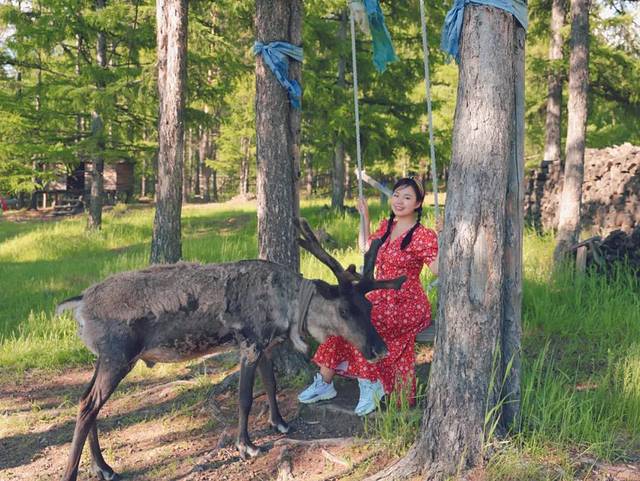 得耳布尓兴安神鹿园