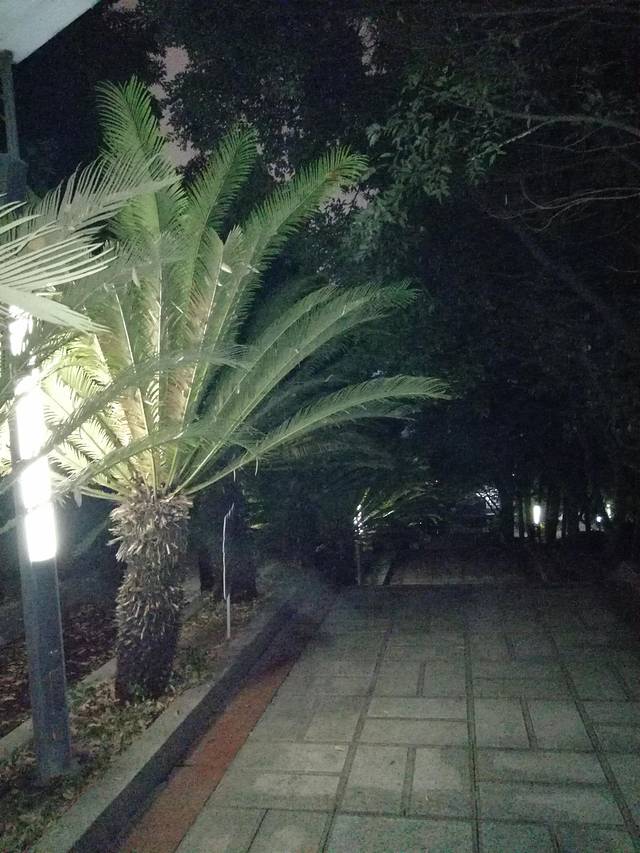 平顶山文化公园