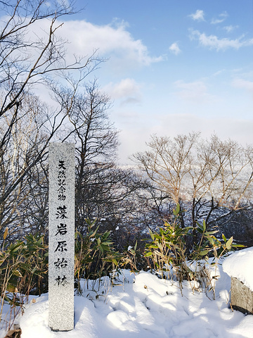 "尤其是在札幌市作为继长崎、神户之后的第2位和第3位，一起被选定为“日本新三大夜景”后，来这里观..._藻岩山"的评论图片