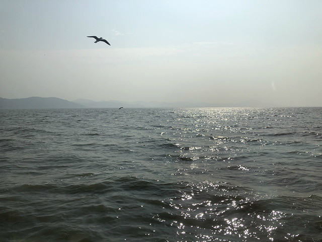 "太湖仙岛是无锡鼋头渚景区内的一个小岛，也是最值得去的一个景点，可以说去鼋头渚玩，就是去太湖仙岛..._太湖仙岛"的评论图片