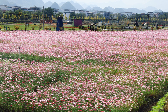 下灌村→花海→十里画廊→舜帝陵→舜源峰→紫霞岩→大凤村彩色部落