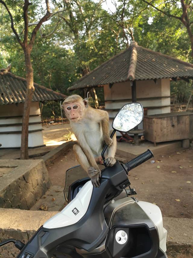 波罗那鲁瓦古城