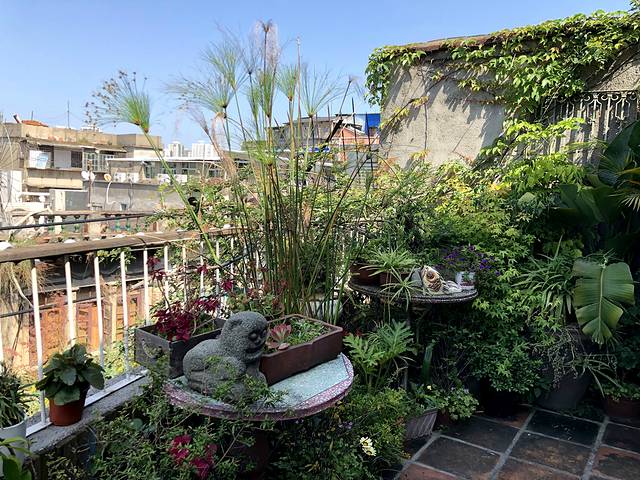 阿吉仔·吉治百货